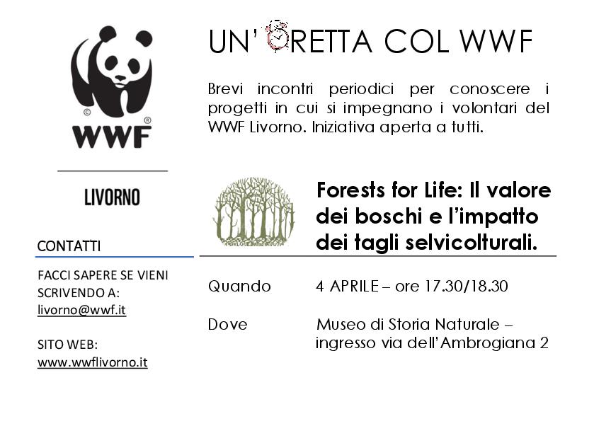ORETTA WWF foreste 001