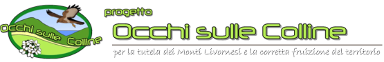 Il Progetto OCCHI SULLE COLLINE: dal 2011 al 2014