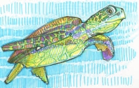 Tutela degli ecosistemi marini