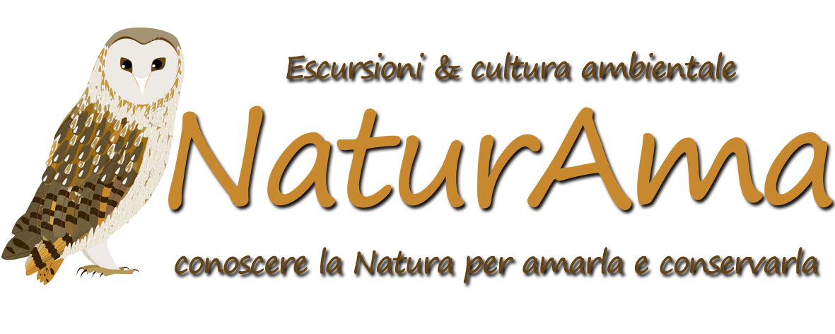 naturama logo